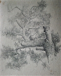 Vitally Grigoryev (Russian, b. 1957) 1974 Old Tree Sketch Drawing