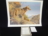 Jorge Mayol Signed Lithograph "Evening Calm Coyote"