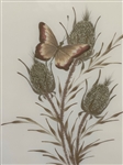 (2) Lengel-Schneerer Butterfly Paintings on Silk
