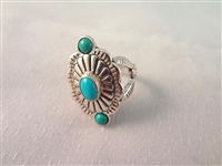 (6) Southwest Sterling Silver and Turquoise Rings 