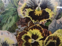 Grace Barton Allen Pansies Yard Long Lithograph