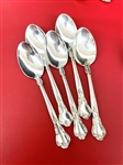 Birks Sterling Silver Flatware Set Chantilly Pattern