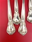 Birks Sterling Silver Flatware Set Chantilly Pattern