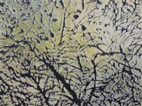 E. Freeman Artist Proof Woodblock Winter Weeds