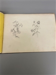 Personal Drawing Booklet Full of Drawings