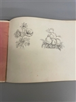 Personal Drawing Booklet Full of Drawings