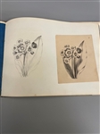 Personal Drawing Booklet Full of Drawings