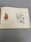 Personal Drawing Booklet Full of Drawings