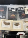 Group of Harley Davidson, Sturgis Pins and Stickers