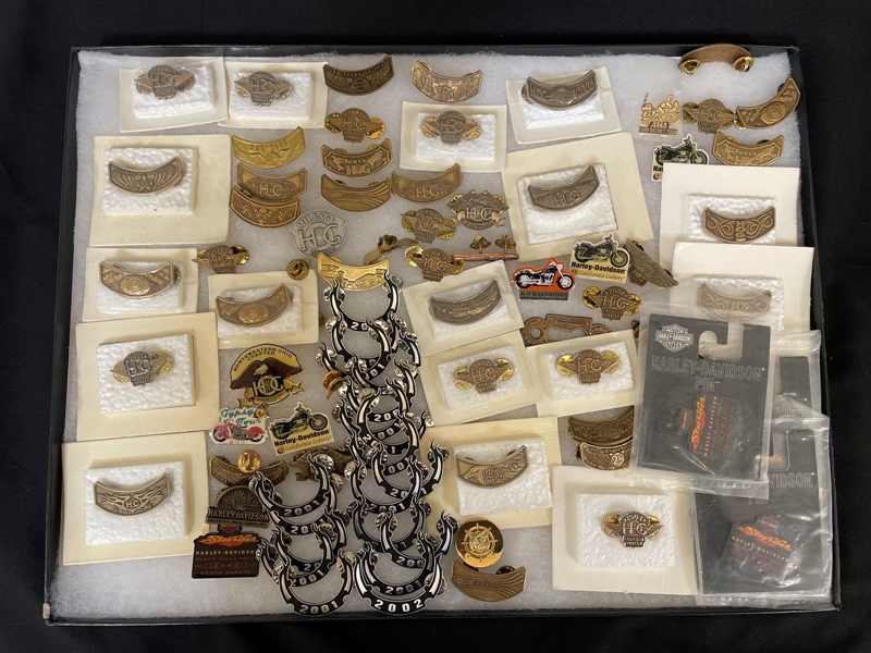 (75) Harley Davidson and Sturgis Hog Pins