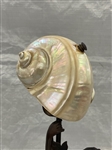 Art Nouveau Spelter Shell Shade Figural Table Lamp