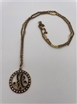 14k Gold Garnet Pendant on Chain
