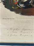 Hand Tinted Engraving Napoleon Family Engraved by Enrico Corty