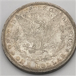 1880-P, 1881-S, and 1882-P Morgan Silver Dollar Lot (144)