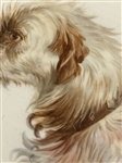 Porcelain Minton Hand Painted Dog Wall Hanger