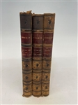 (3) Bound John Ruskin Volumes 1876, 1878