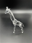 Swarovski Crystal Baby Giraffe COA and Original Box