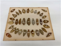 Group of Arrowheads from Yazoo County Mississippi 1894 in Display Case