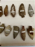 Group of Arrowheads from Yazoo County Mississippi 1894 in Display Case