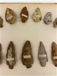 Group of Arrowheads from Yazoo County Mississippi 1894 in Display Case