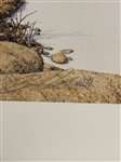 Bev Doolittle S/N Lithograph Eagle Heart 1992
