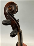 Jacobus Stainer Copy Labeled Violin 1645 With 2 Unsigned Bows and Case