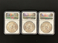 (3) 2015-W Burnished Silver Eagle Dollars NGC MS 70 First Day of Issue 