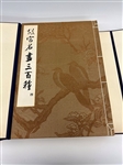 Three Hundred Masterpieces of Chinese Paintings in the Palace Museum 1959