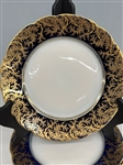 (11) JPL France Cobalt Side Plates