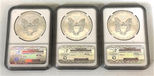 2013 Silver Eagle Set of (3)