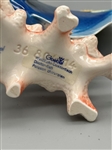 Goebel Doctor Fish Figurine