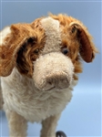 Steiff Mohair Dog On Wheels Pull Toy