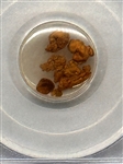 PCGS Sacramento Assayer Hoard Gold Dust (1.5) Grams