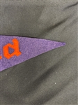 1920 Luna Park Cleveland Full Size Pennant