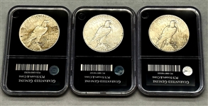 (3) Peace Silver Dollars PCS Stamps & Coins