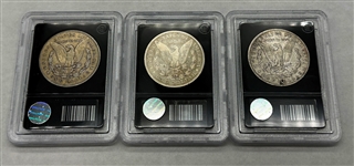 (3) Morgan Silver Dollars Bradford Exchange