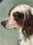 Oil on Canvas English Setter Reissue From Original 
