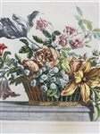 (4) Jean Monnoyer Baptiste (French 1636-1699) Hand Tinted Floral Engravings
