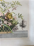 (4) Jean Monnoyer Baptiste (French 1636-1699) Hand Tinted Floral Engravings
