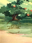 (2) 1985 LucasFilms LTD Original Animation Cels