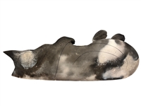 Mary Gates Dewey Studio Art Laying Down Cat