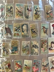 (327) 1880's Cigarette Cards