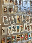 (327) 1880's Cigarette Cards