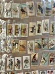 (327) 1880's Cigarette Cards