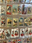 (327) 1880's Cigarette Cards