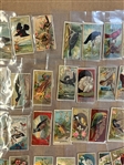 (327) 1880's Cigarette Cards