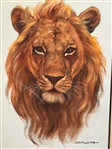 Lion Oil on Canvas Painting