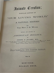 (2) Volume Set Animate Creation Our Living World J.G. Wood 1898