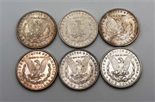 Group of (6) Morgan Silver Dollars