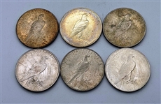 Group of (6) Peace Silver Dollars